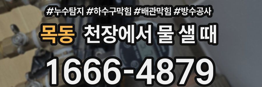 목동 천장에서 물 샐 때