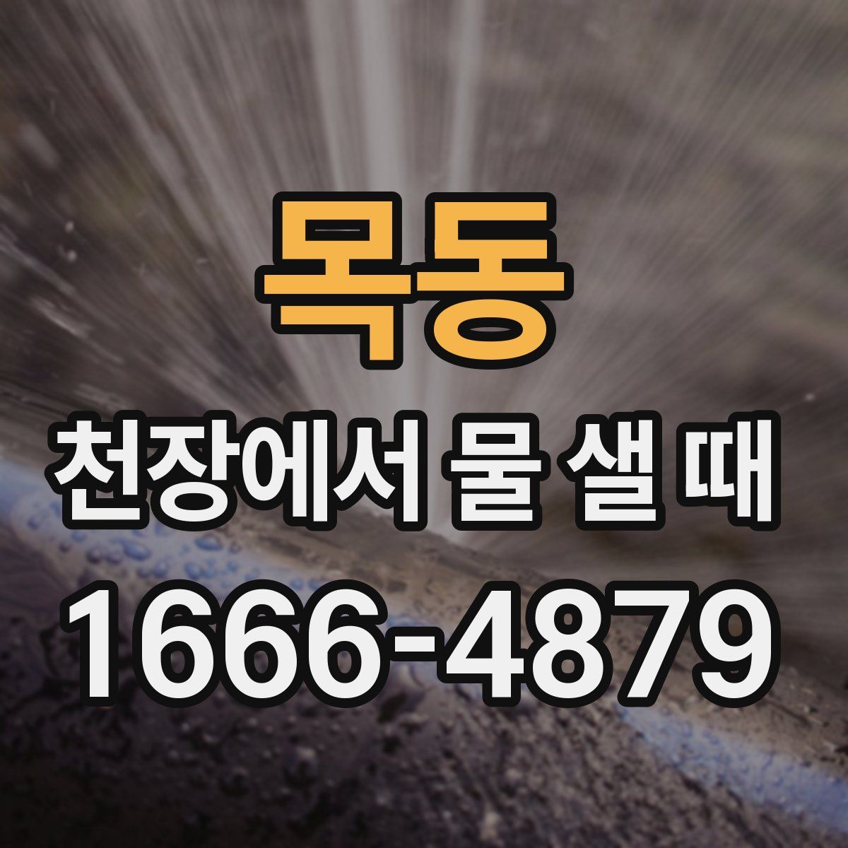 목동 천장에서 물 샐 때