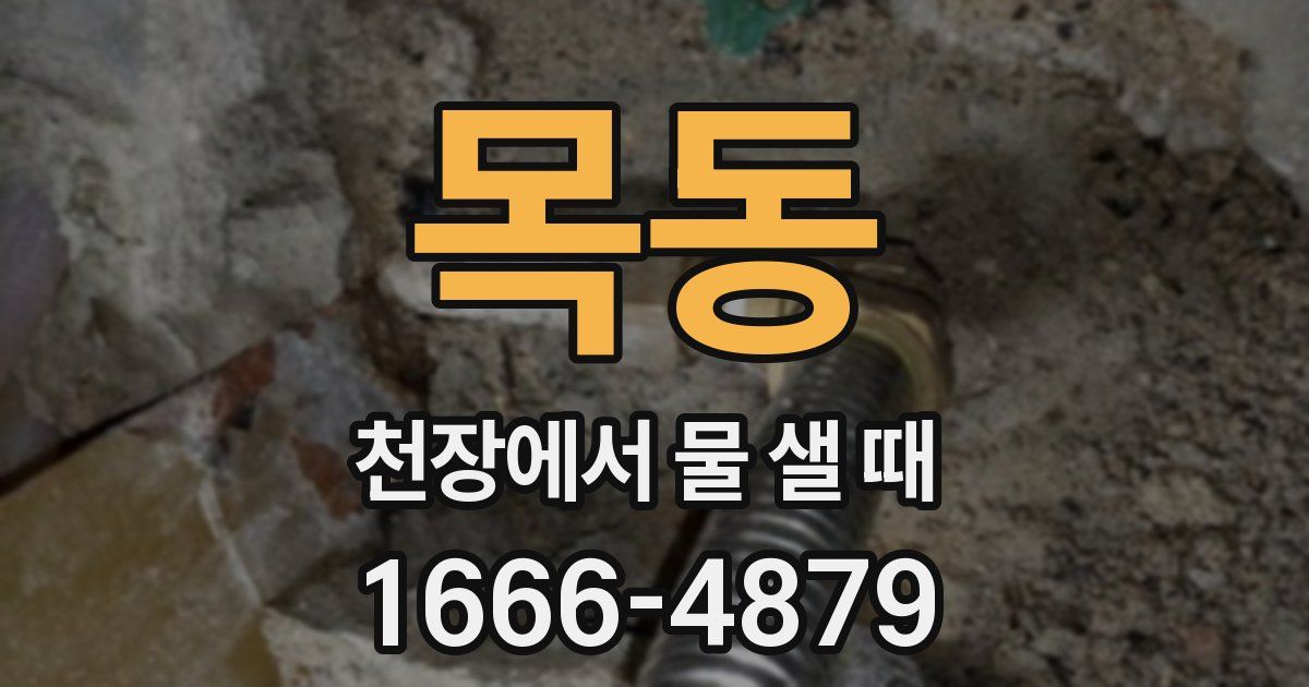 목동 천장에서 물 샐 때