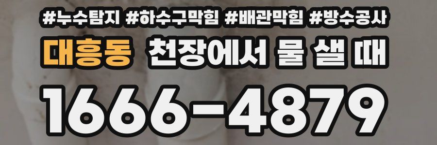대흥동 천장에서 물 샐 때