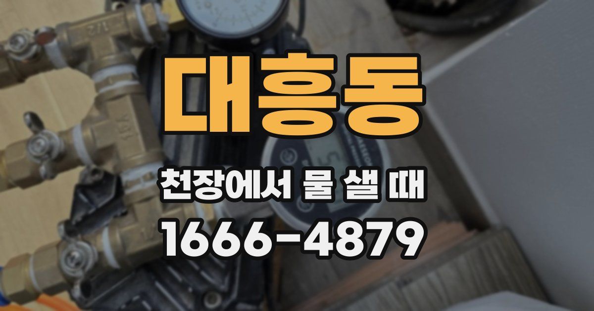 대흥동 천장에서 물 샐 때