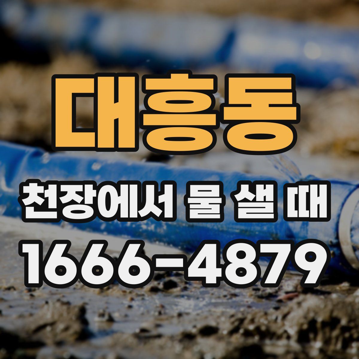 대흥동 천장에서 물 샐 때