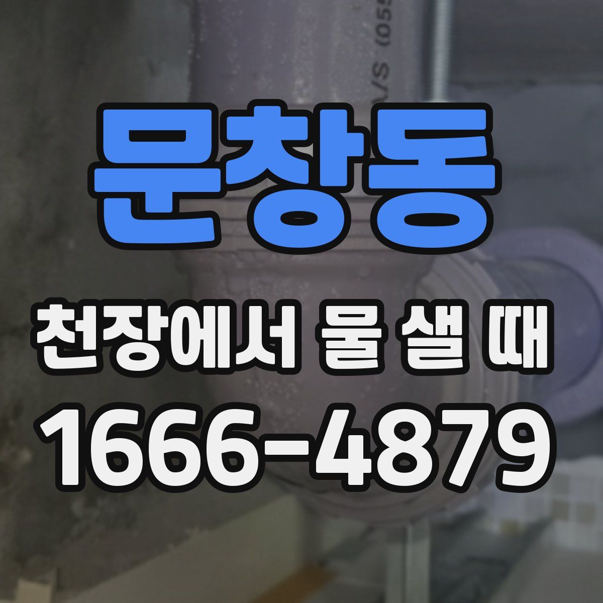 문창동 천장에서 물 샐 때