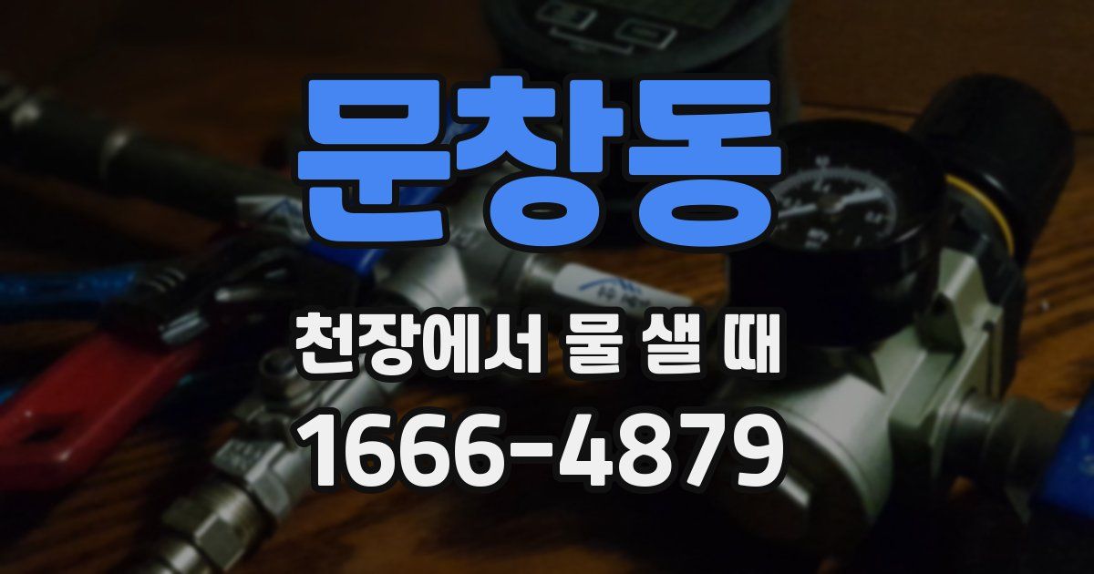 문창동 천장에서 물 샐 때