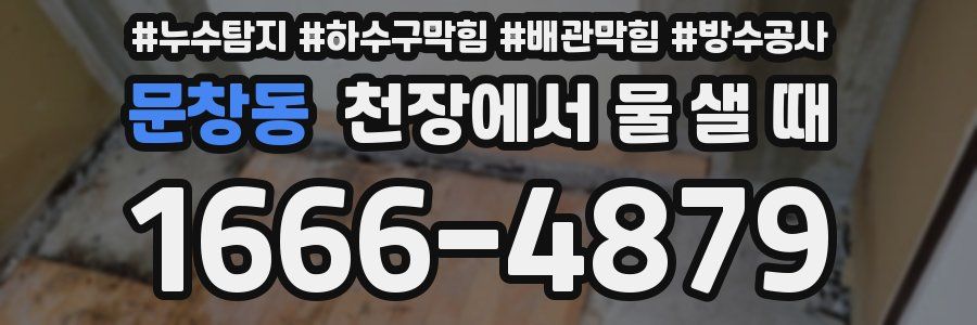 문창동 천장에서 물 샐 때