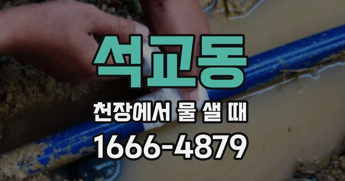 석교동 천장에서 물 샐 때