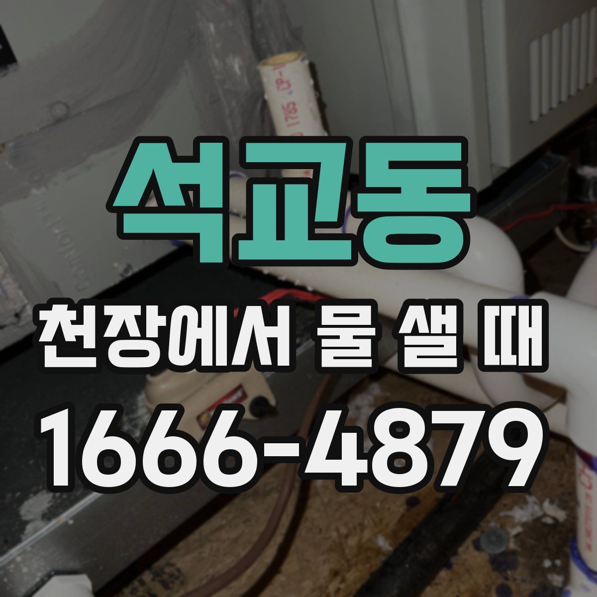 석교동 천장에서 물 샐 때