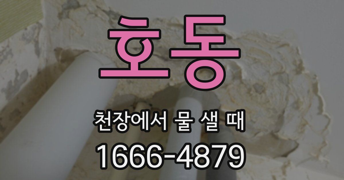 호동 천장에서 물 샐 때
