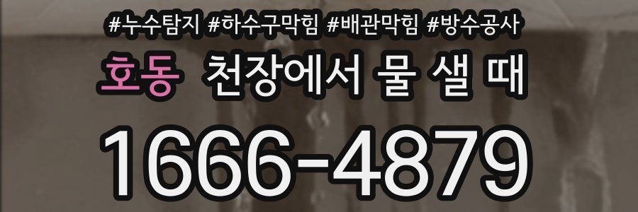호동 천장에서 물 샐 때