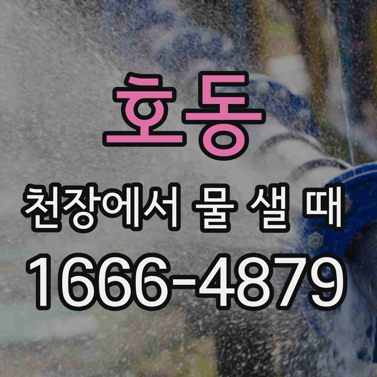 호동 천장에서 물 샐 때