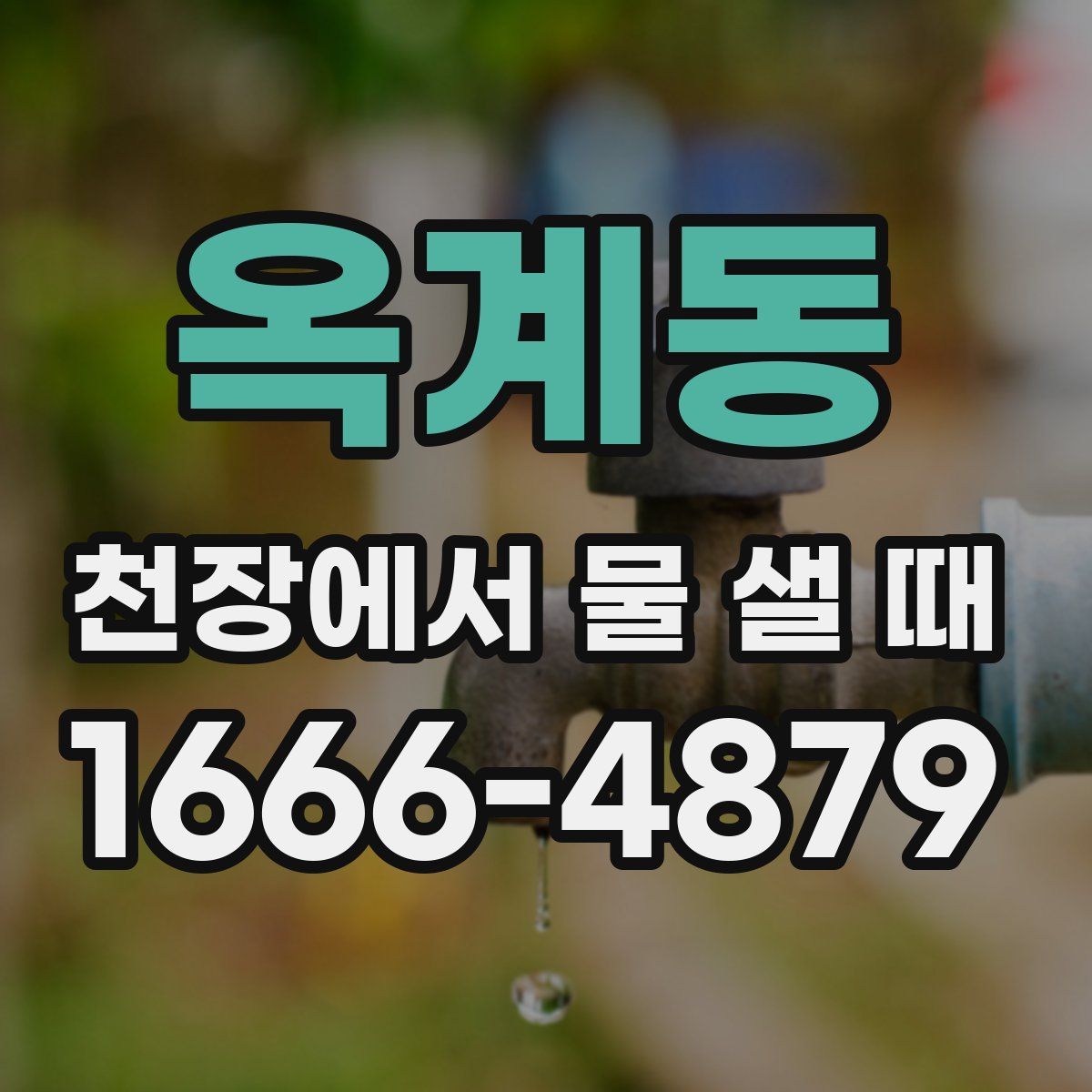 옥계동 천장에서 물 샐 때