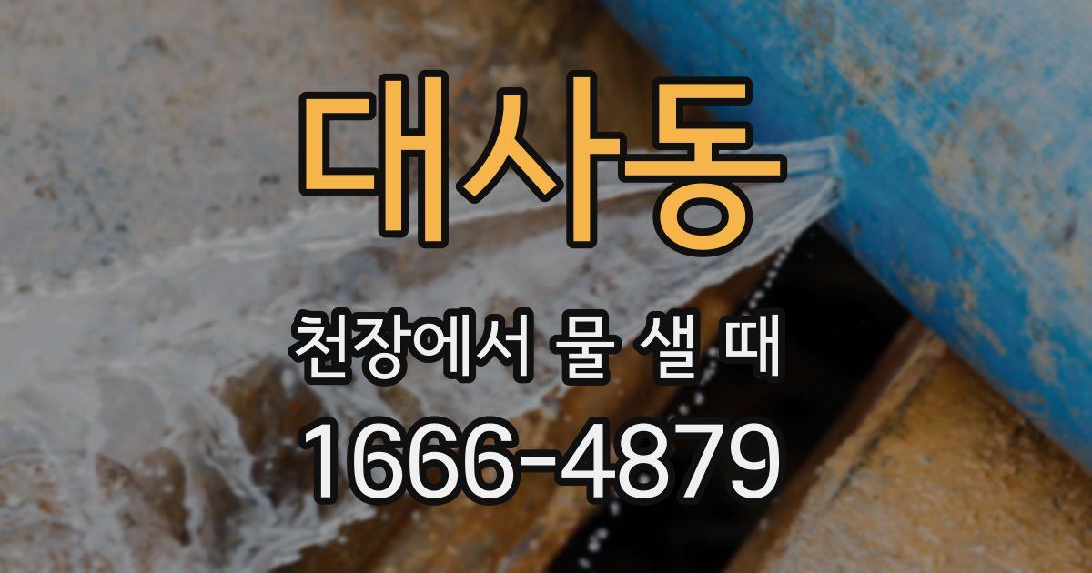 대사동 천장에서 물 샐 때