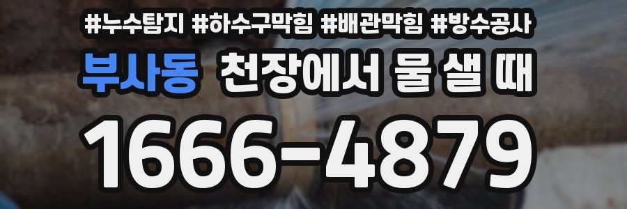 부사동 천장에서 물 샐 때