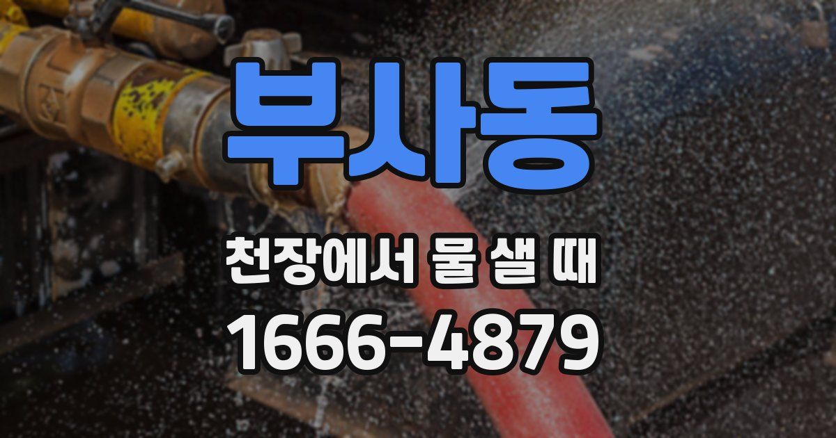부사동 천장에서 물 샐 때