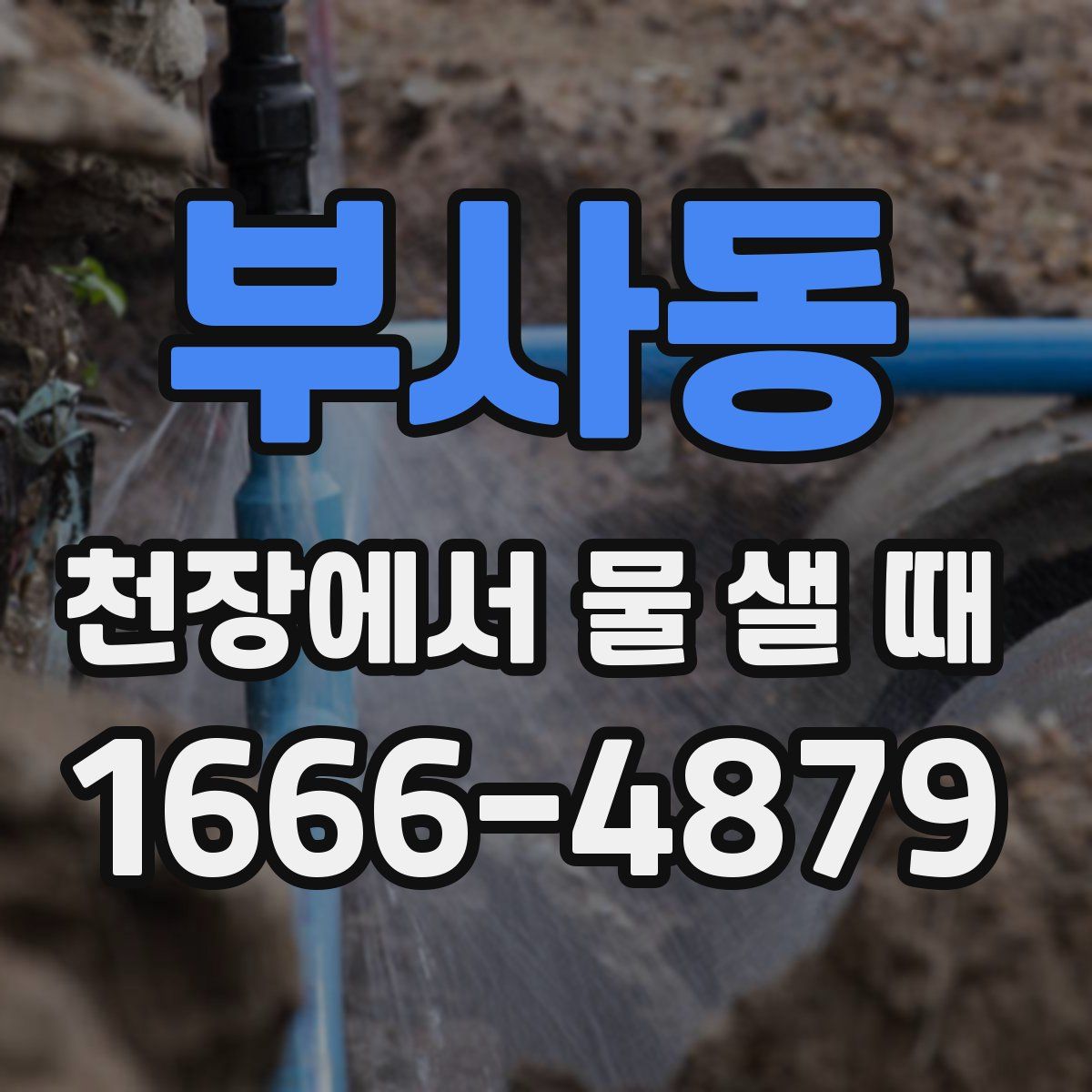 부사동 천장에서 물 샐 때