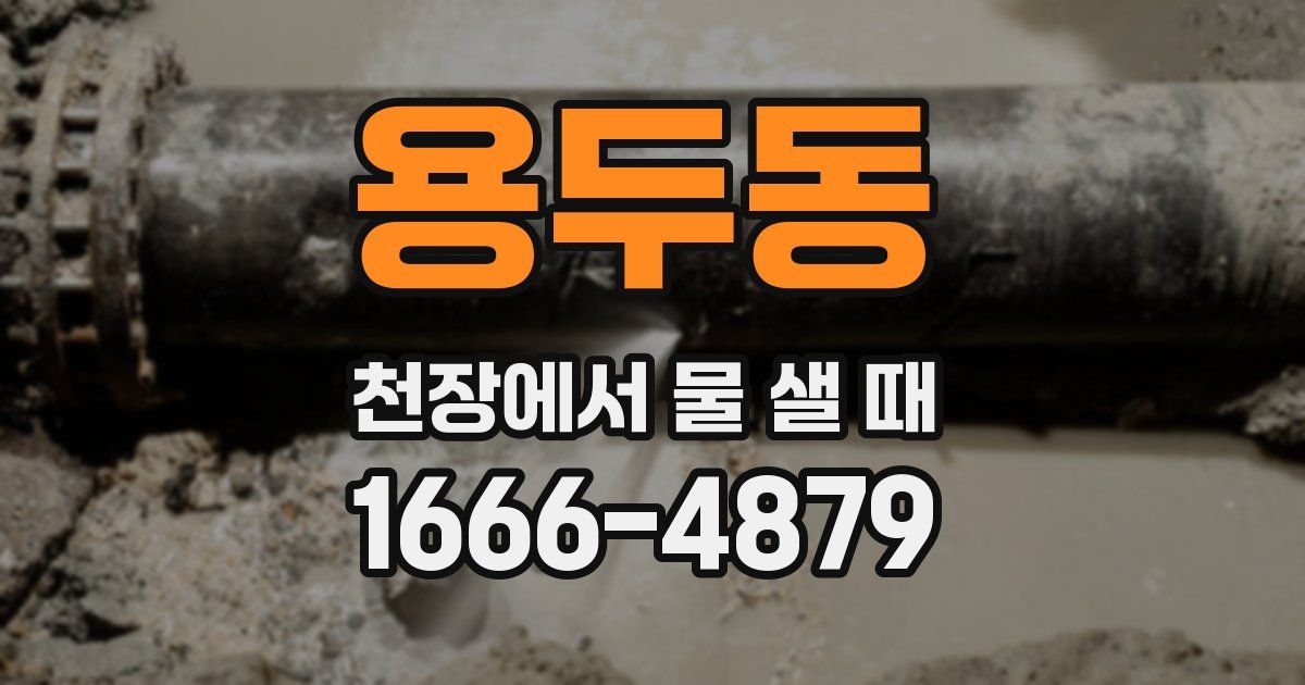 용두동 천장에서 물 샐 때