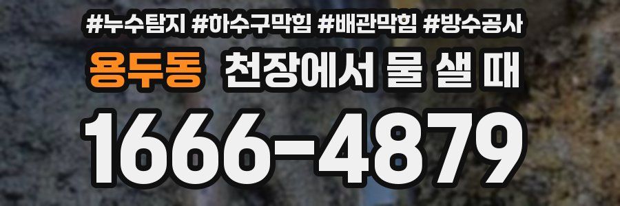 용두동 천장에서 물 샐 때