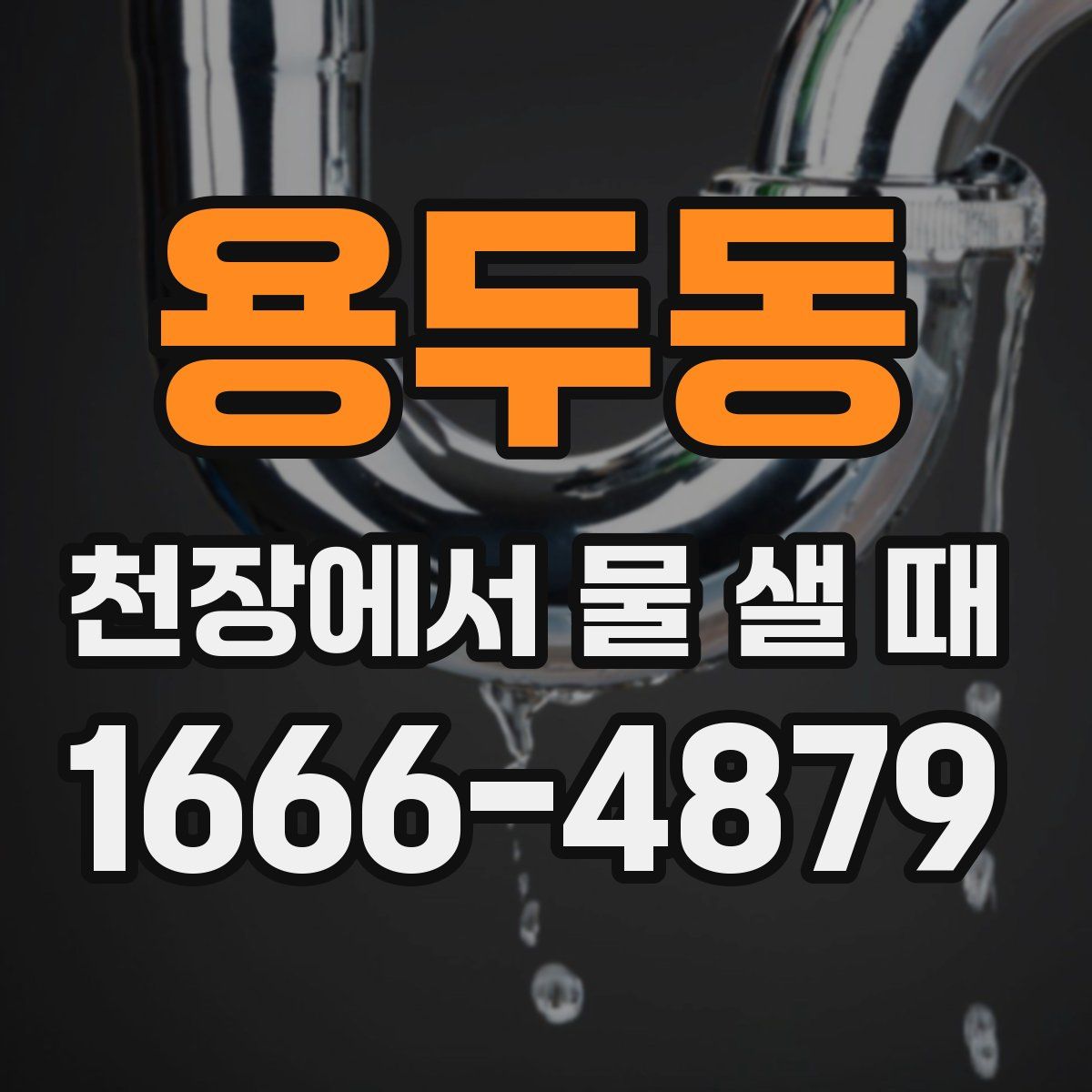 용두동 천장에서 물 샐 때