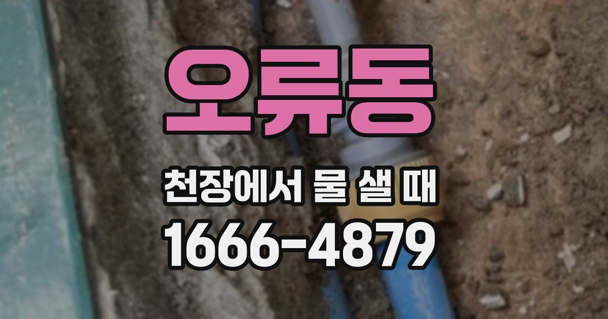 오류동 천장에서 물 샐 때