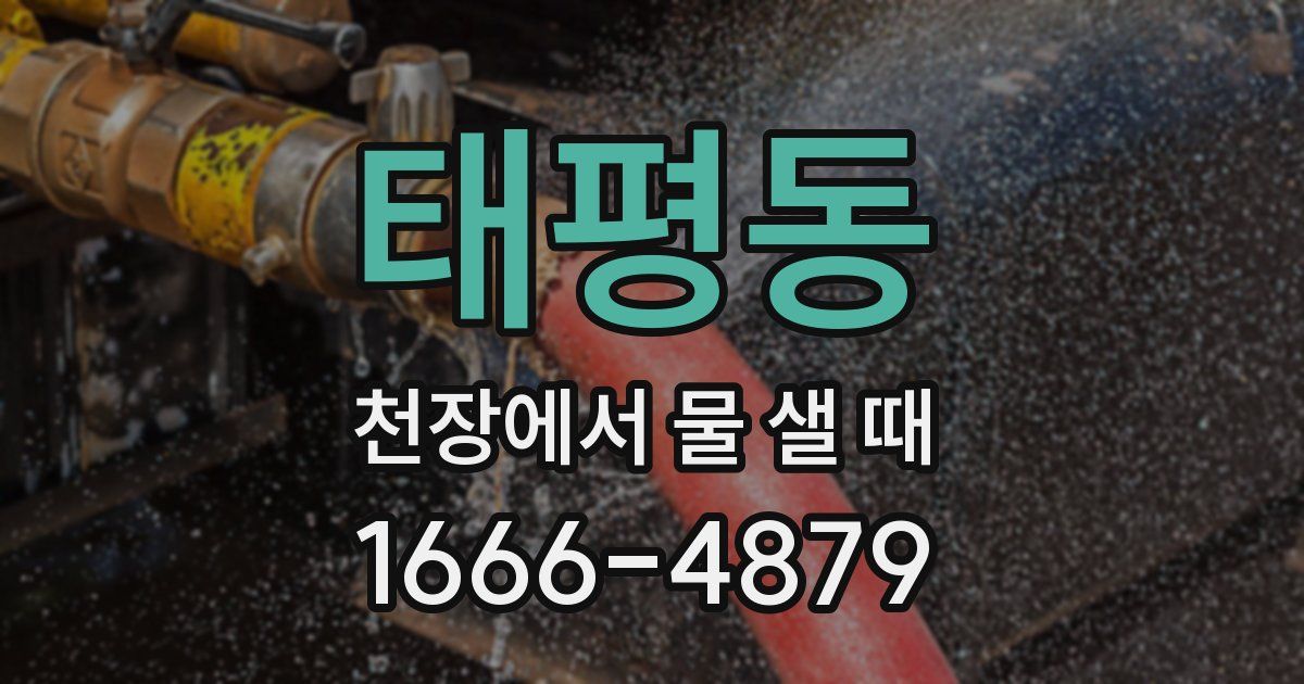 태평동 천장에서 물 샐 때