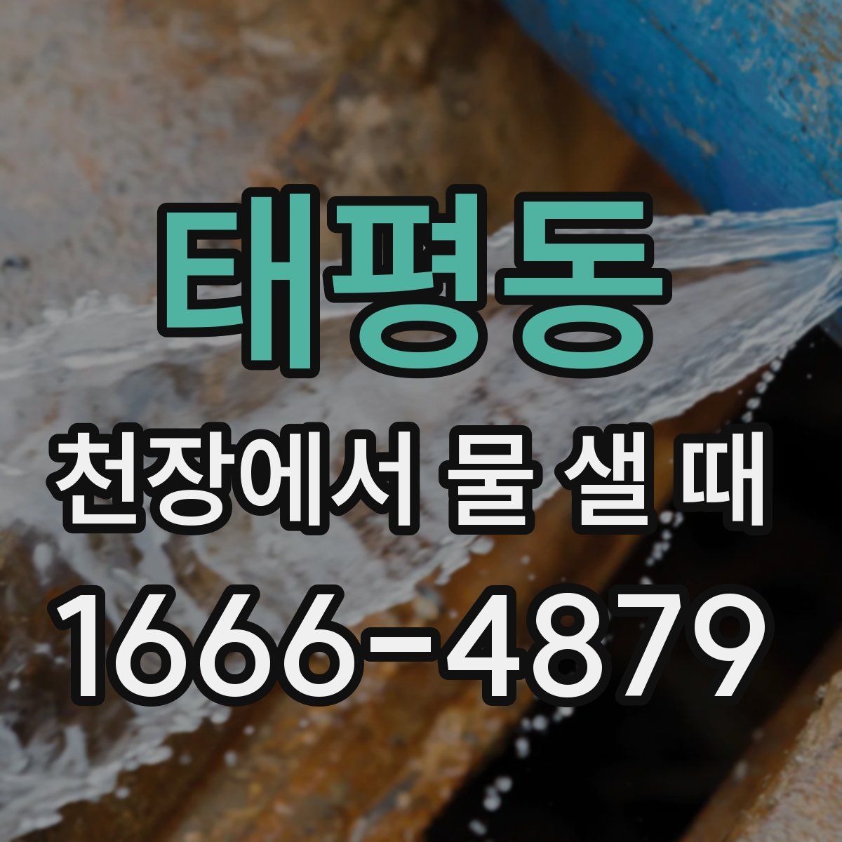 태평동 천장에서 물 샐 때