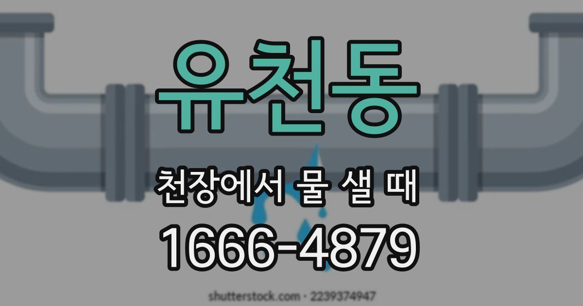 유천동 천장에서 물 샐 때