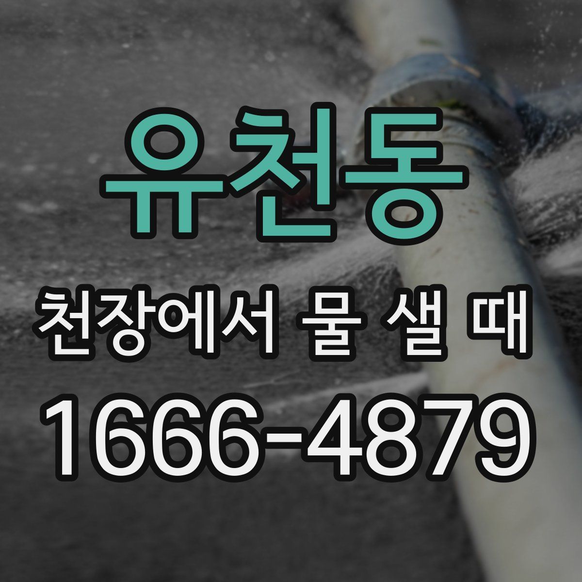 유천동 천장에서 물 샐 때
