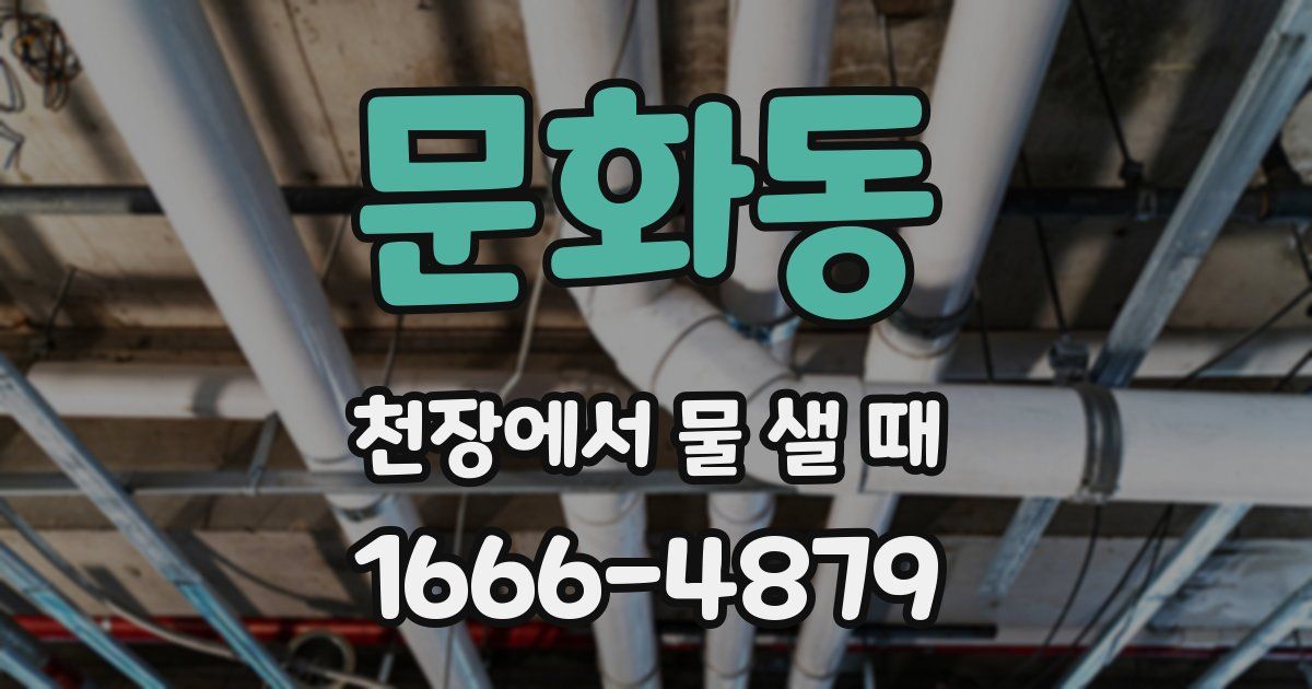 문화동 천장에서 물 샐 때