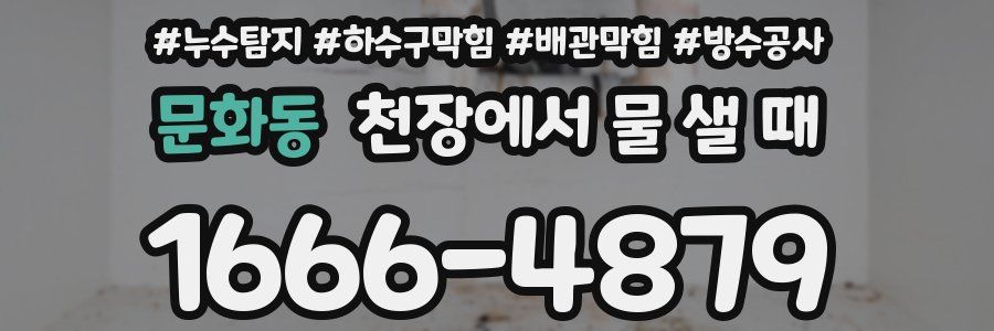 문화동 천장에서 물 샐 때