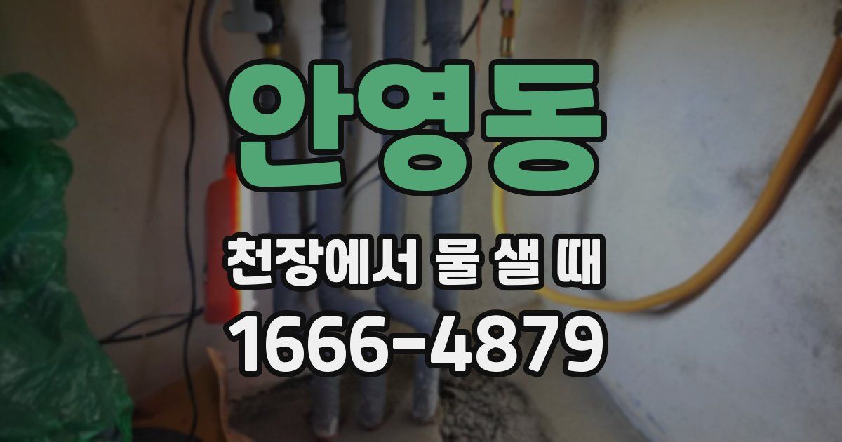 안영동 천장에서 물 샐 때
