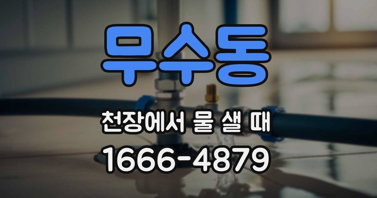 무수동 천장에서 물 샐 때