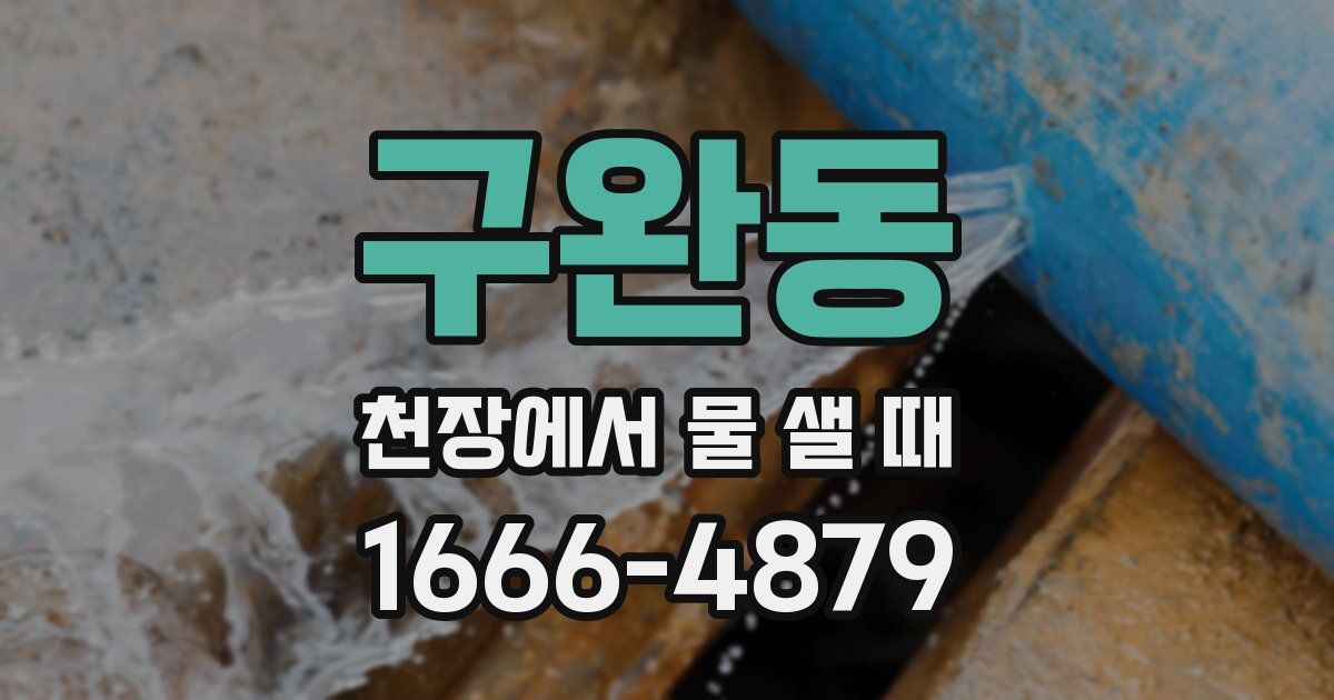 구완동 천장에서 물 샐 때