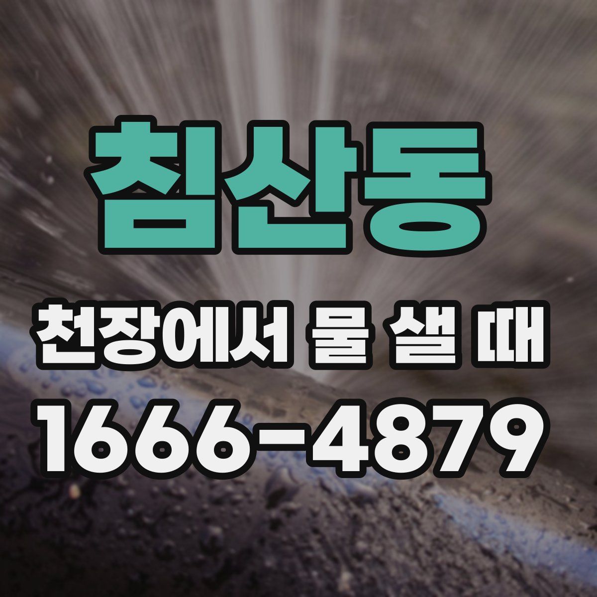 침산동 천장에서 물 샐 때
