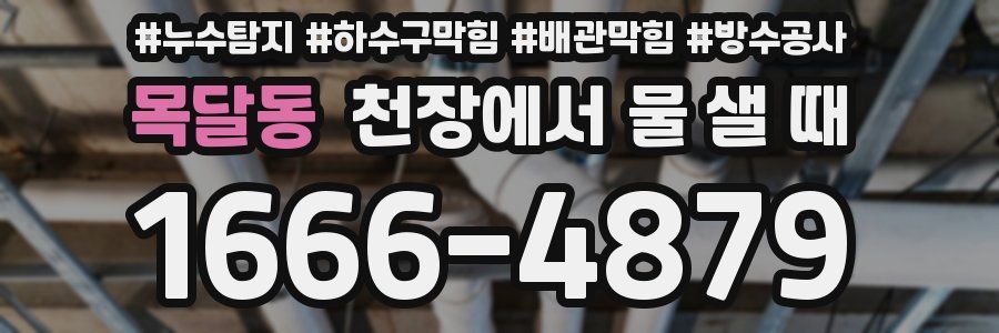 목달동 천장에서 물 샐 때