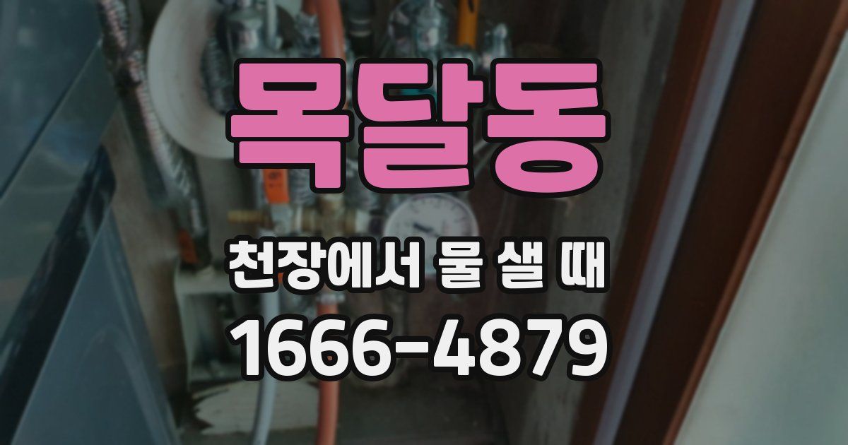 목달동 천장에서 물 샐 때