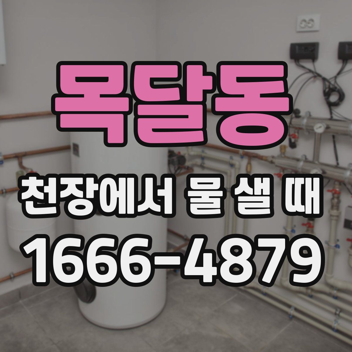 목달동 천장에서 물 샐 때