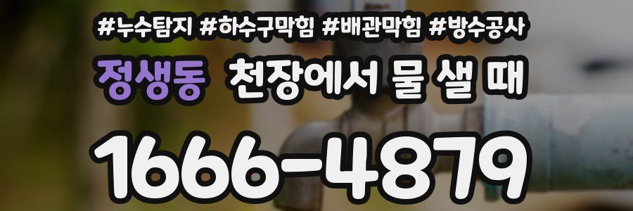 정생동 천장에서 물 샐 때