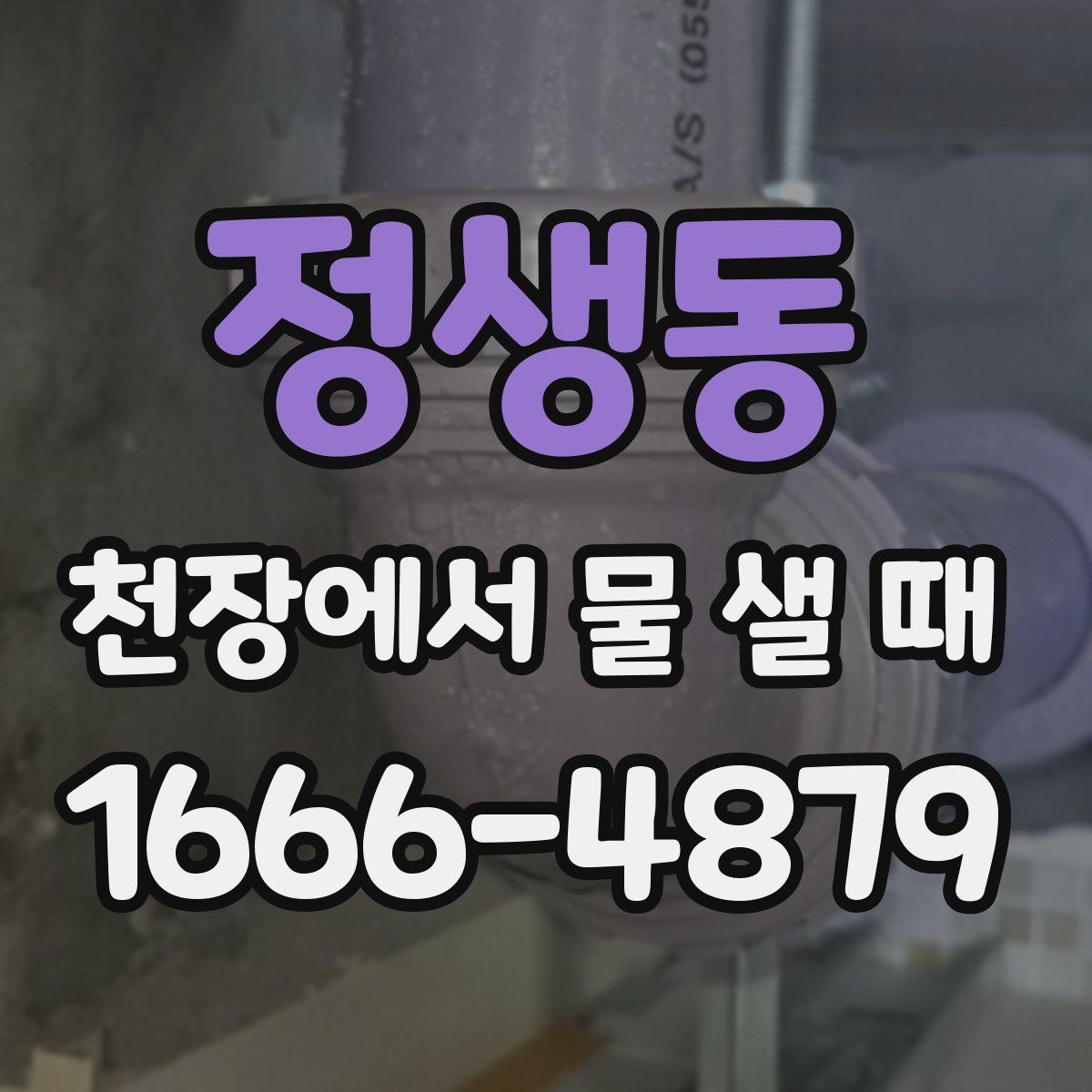 정생동 천장에서 물 샐 때