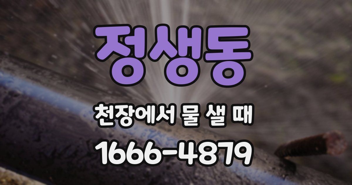 정생동 천장에서 물 샐 때
