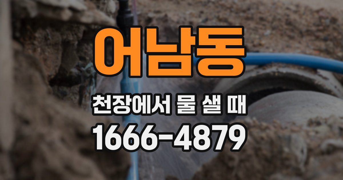 어남동 천장에서 물 샐 때