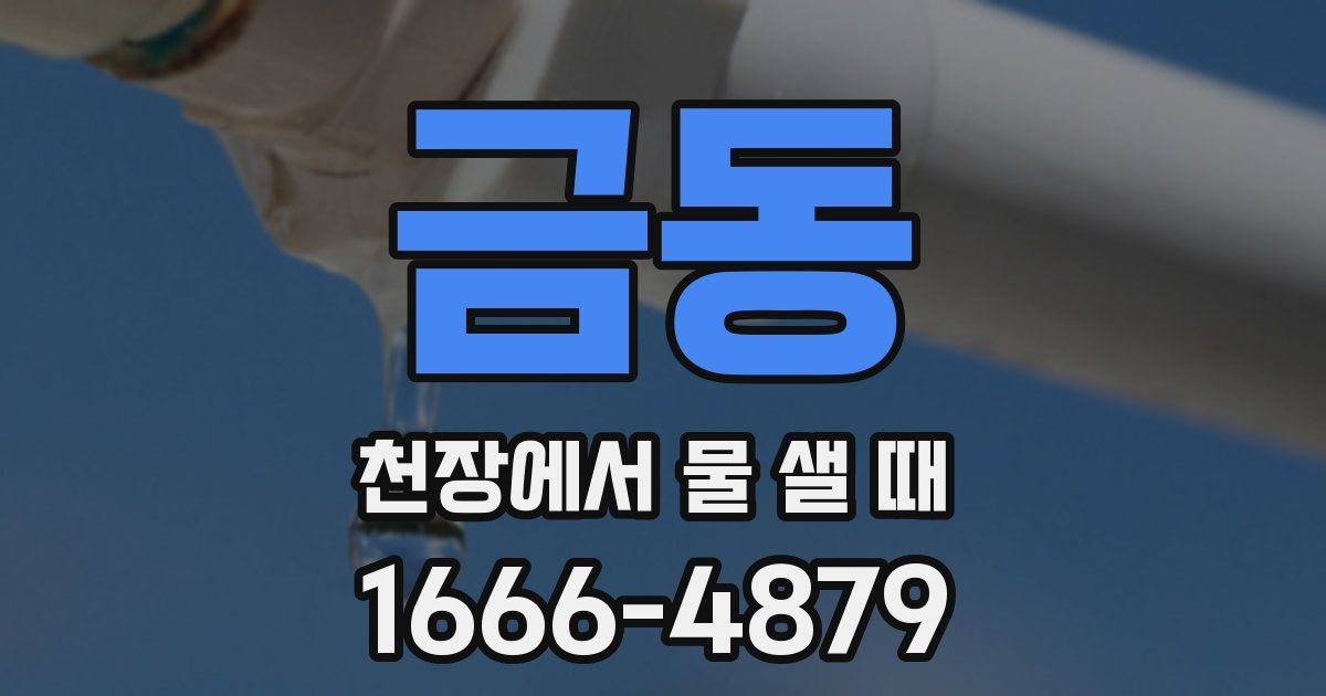 금동 천장에서 물 샐 때