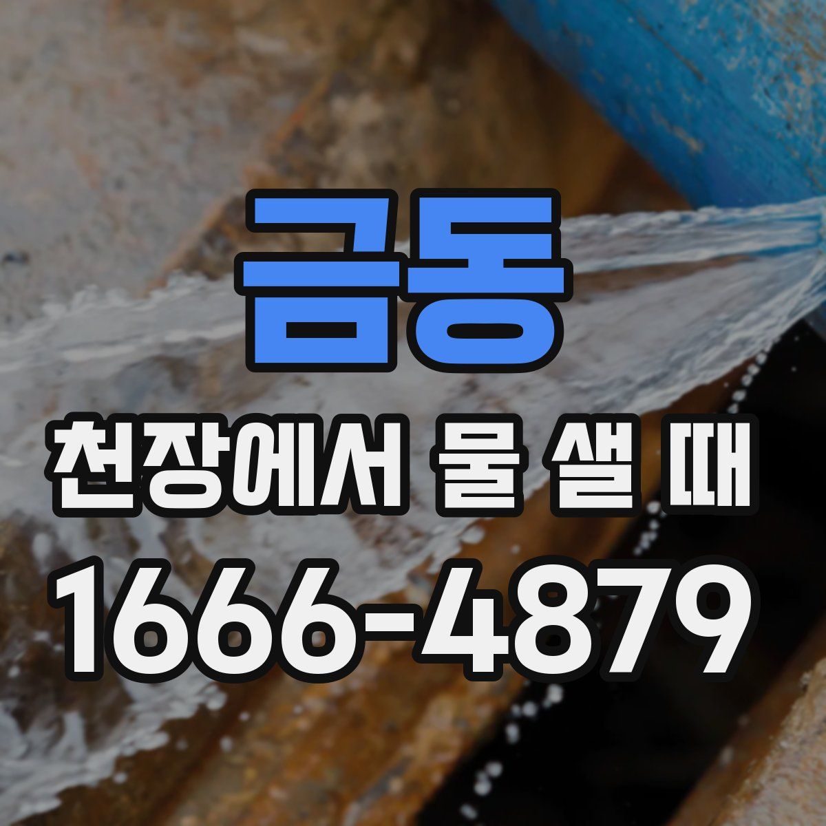 금동 천장에서 물 샐 때