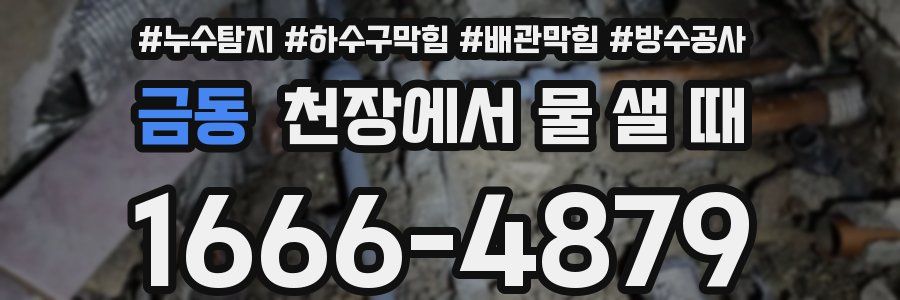 금동 천장에서 물 샐 때
