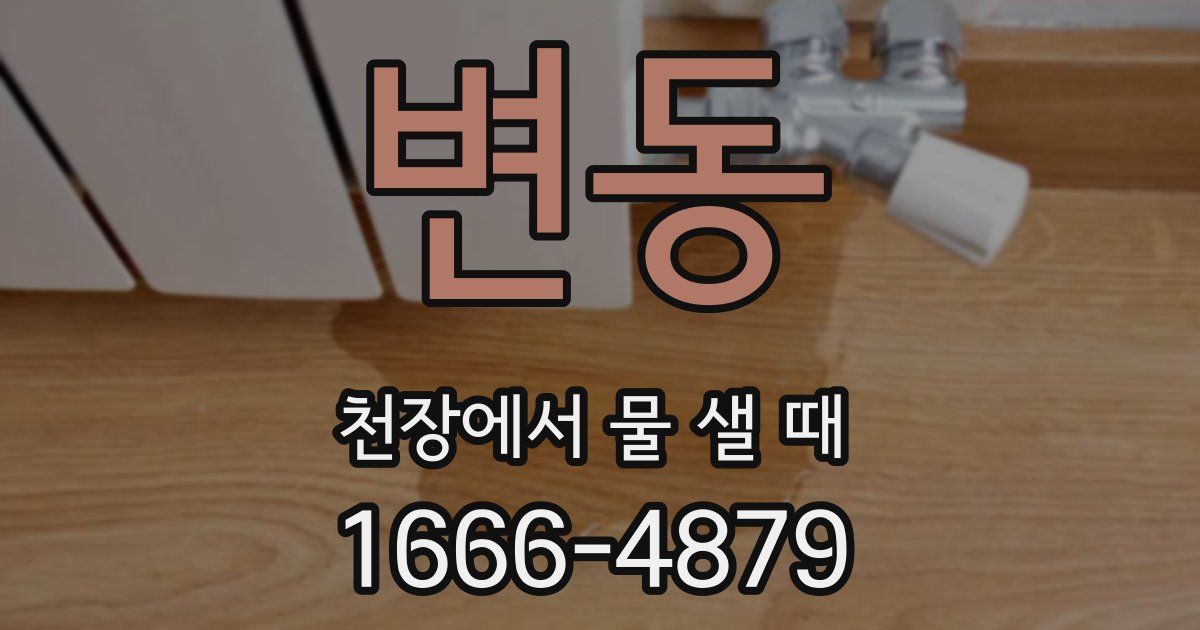 변동 천장에서 물 샐 때