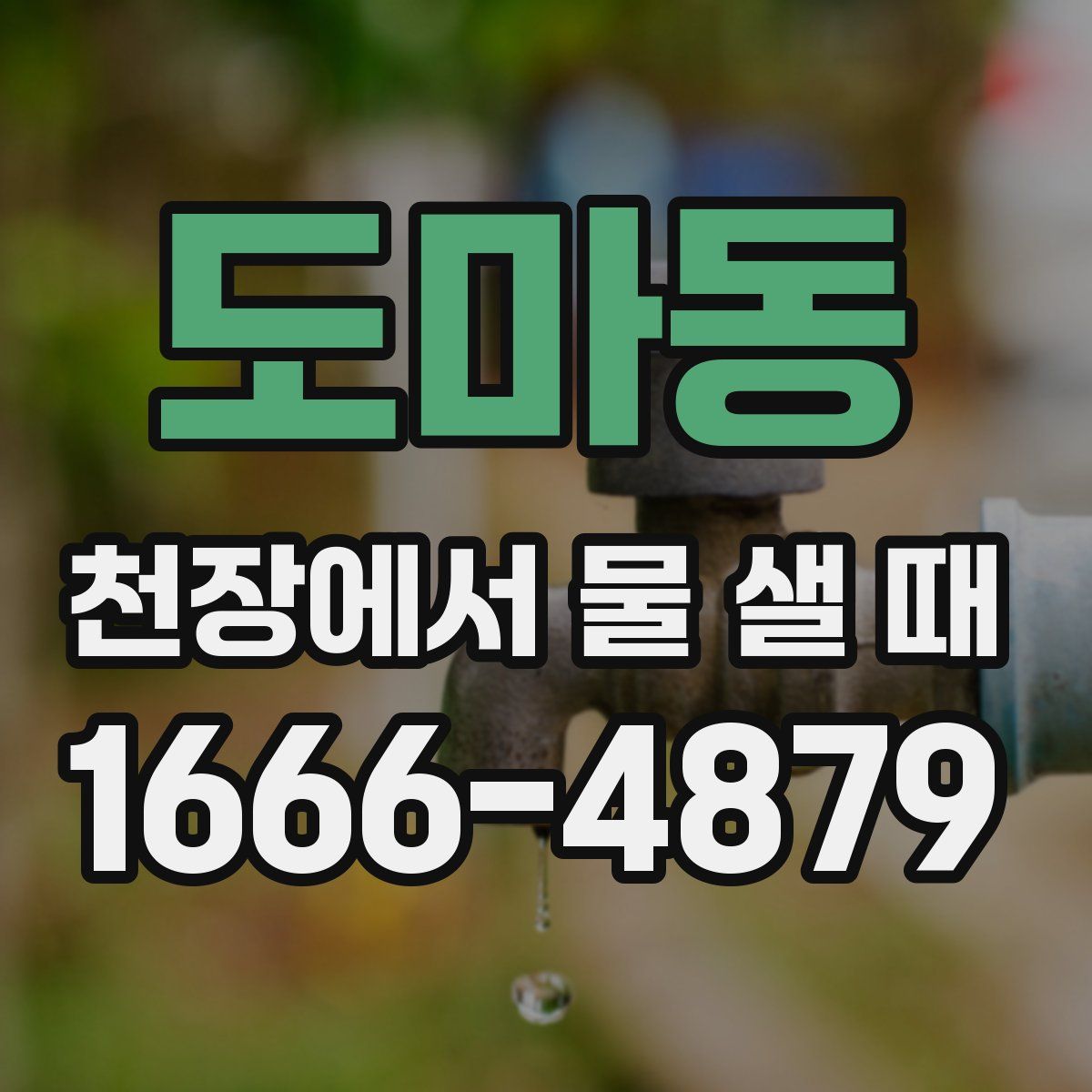 도마동 천장에서 물 샐 때