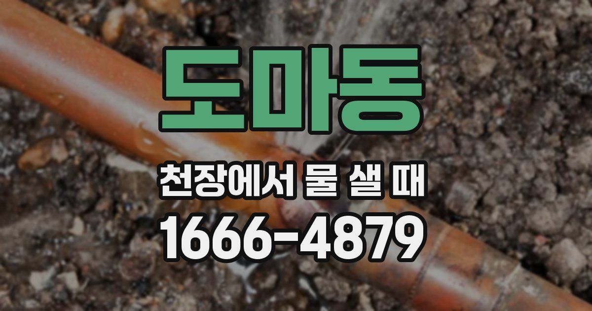 도마동 천장에서 물 샐 때