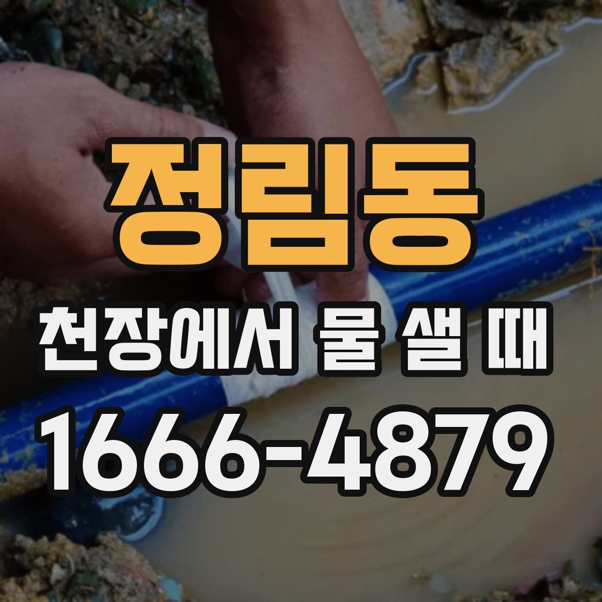 정림동 천장에서 물 샐 때