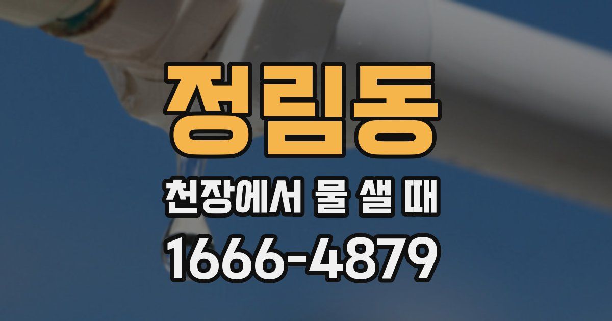 정림동 천장에서 물 샐 때