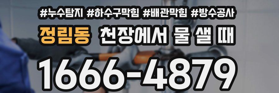 정림동 천장에서 물 샐 때
