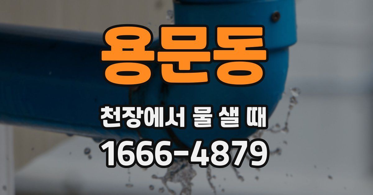용문동 천장에서 물 샐 때